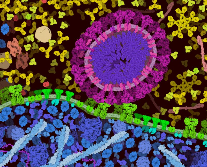 Dynamic Cell Paint Wallpaper for Your Screen Dynamic Cell Paint Wallpaper for Your Screen