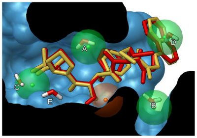 DOCKING – Center for Computational Structural Biology